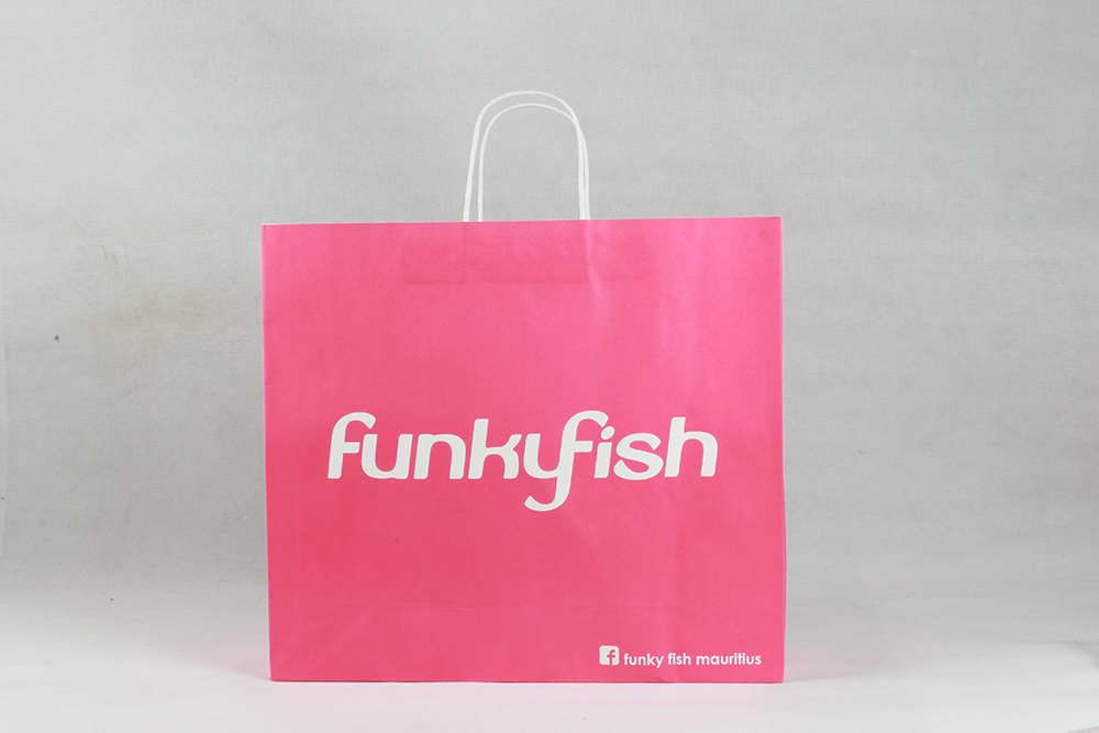 時(shí)尚簡約型牛皮紙袋 funky fish